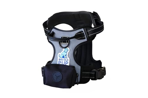 5-in-1 Reflective Dog Harness with Built-in 5ft Leash & Seatbelt Clip, Waste-Bag Pouch + 3 Rolls, Adjustable Quick-Fit Buckles, Breathable Mesh, Dual D-Rings, Large - size: Large