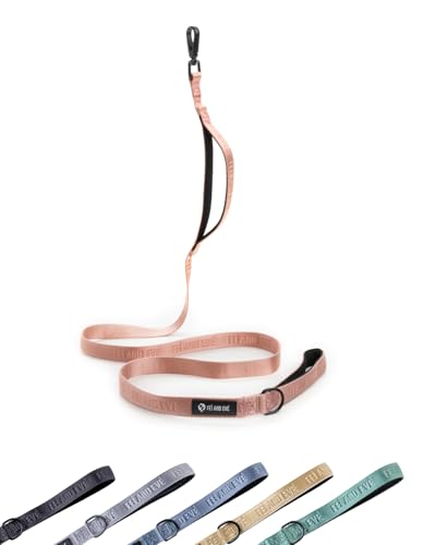 Classic Dog Leash - 6FT, Dual Padded Handles, 360° Swivel Hook, Heavy Duty 210D Nylon - No-Pull Design with Traffic Control Handle - for Small/Medium/Large Dogs, Pink - color: Pink, size: 6FT