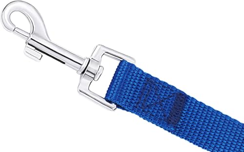 AMAGOOD Dog/Puppy Obedience Recall Training Agility Lead-15 ft 20 ft 30 ft 50 ft Long Leash-for Dog Training,Tie Out,Play,Safety,Camping (50Feet x 1Inch, Blue) - color: Blue, size: 1" x 50ft
