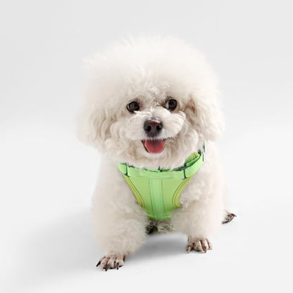 HNS1000B Arlo Extra Small Adjustable Soft Padded No Pull Pet Harness with 3 Buckles and 3 Leash Clips, Mojito - color: Light Green, size: X-Small (Chest: 11.8 - 17")