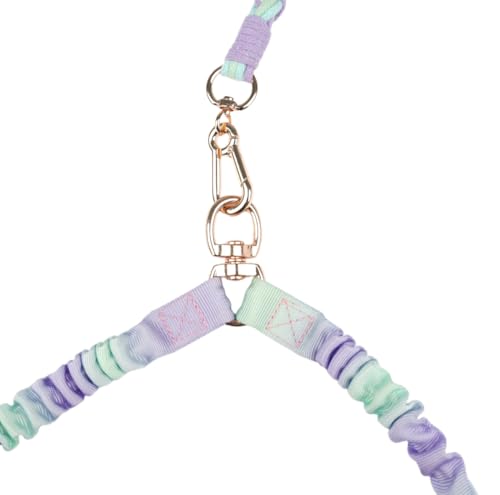 Dual Dog Leash,Double Dog 360 Swivel No Tangle Walking Leash,Comfortable Shock Absorbing Reflective Bungee for Two Dogs (Ocean Breeze) - color: Ocean Breeze