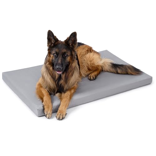 PELZIN Cybarmour Chew Proof Dog Bed - Orthopedic Indestructible Dog Crate Pad - Outdoor Waterproof Kennel Mat for Aggressive Chewers - Extra Large Breeds & Fits 48-Inch Crate - 47"x29", Limestone - color: Limestone, size: 47.0"L x 29.0"W x 3"Th