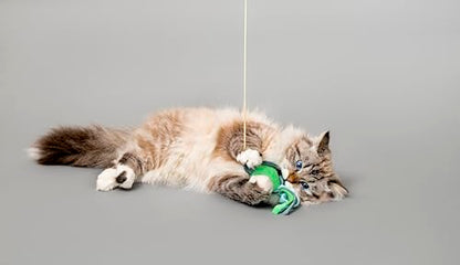 Cat Toys | Plush Turtle Teaser Cat Wand Toy | Eco Friendly Interactive Cat Toys for Indoor Cats - style: Tilly the Turtle Teaser