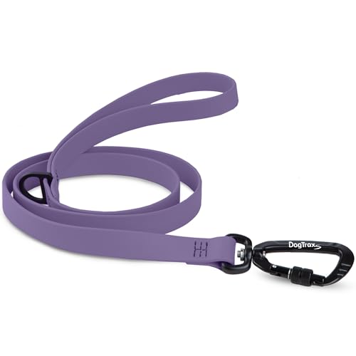 Essential Biothane Dog Leash for Small, Large, Medium Dogs - Waterproof - Dog Training - Locking Carabiner - 3/4 in x 3 ft Long - Amethyst Purple - color: Amethyst Purple, size: 3/4 In x 3 Feet