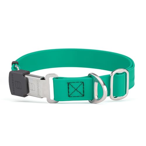 Biothane Waterproof Durable Dog Collar with Herm Sprenger - Quick Release ClicLock Buckle - Fits Medium and Large Dogs - Made in USA (Teal, W 1" x L 15"-25") - color: Teal, size: W 1" x L 15"-25"