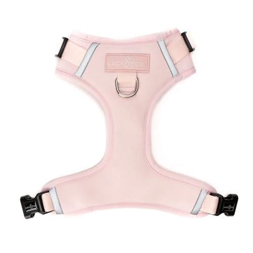Lucy & Co. The Rosewater No-Pull Dog Harness - Size Small - Vest to Stop Pulling & Walk Easy - Comfortable Leash Training Product w/Adjustable Chest & Neck Straps - color: The Rosewater No-Pull Harness, size: Small