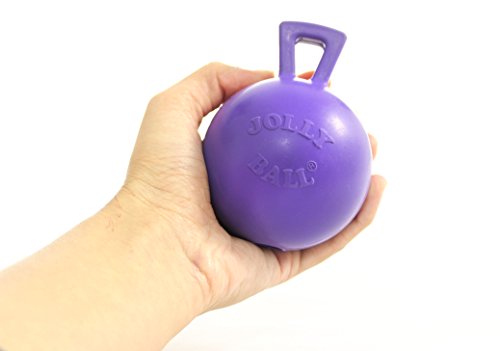 Jolly Pets Tug-n-Toss Heavy Duty Dog Toy Ball with Handle, 3 Inches/Mini, Purple (403 PR) - color: Purple, size: 3 in/Mini