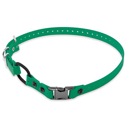 Educator 3/4-Inch Dog Training Collar Strap–ONLY Fits ME-300, ET-300/400, EZ-900, PE-900 & PG-300 Receivers – NOT Compatible with FE-580, ET-800 or UL-1200–Quick Snap Biothane Bungee Collar, Green - color: Green