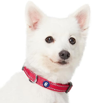 Blueberry Pet Essentials Matching Dog Collar & Leash Set | Pastel Reflective Adjustable Collar with 5 ft Lead for Medium Dogs, Very Berry - color: Very Berry, size: Medium