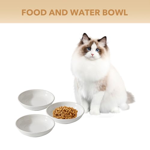 Havniva Ceramic Cat Bowl Whisker Friendly 5.5” Cat Dishes Shallow Cat Food Bowl Anti-Slip Pet Water Bowls for Indoor Cats, Wide Cat Food Dish Prevent Whisker Fatigue (3 Pack) - color: White - A