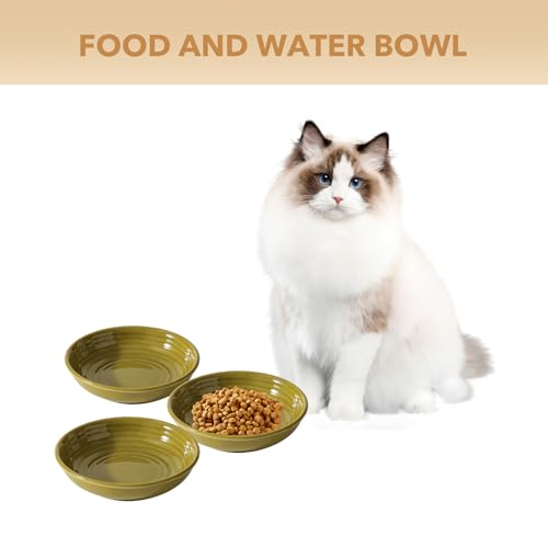 Havniva Ceramic Cat Bowl Whisker Friendly 5.5” Cat Dishes Shallow Cat Food Bowl Anti-Slip Pet Water Bowls for Indoor Cats, Wide Cat Food Dish Prevent Whisker Fatigue (3 Pack) - color: Matcha Green - A