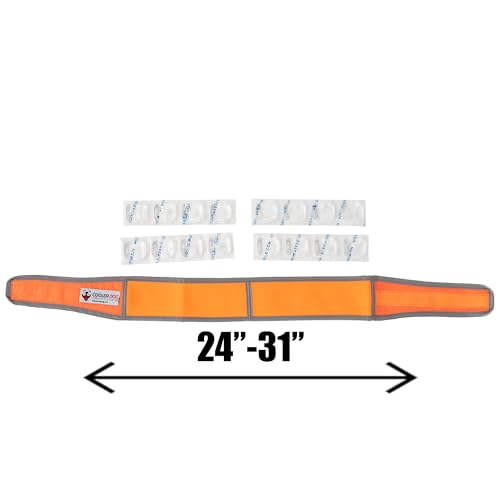 CoolerDog Hi-Vis Cooling Dog Collar for X-Large Dogs – Reflective Re-Freezable Ice Collar for Hot Weather & Heat Relief (Orange, X-Large) - size: X-Large