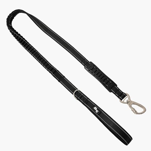 Dog Friendly Co. Bungee Dog Leash | Strain Free & Shock Resistant for Control | Neoprene Padded Handle, Heavy-Duty Carabiner Clip, and D-Ring | Black, Size Regular - color: Black, size: Regular