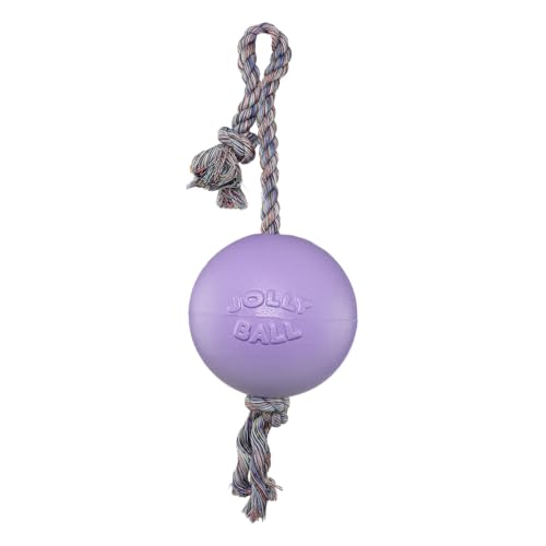 Jolly Pets Romp-n-Roll Rope and Ball Dog Toy, 4.5 Inches/Small, Light Purple - color: Light Purple, size: Small (4.5 in)