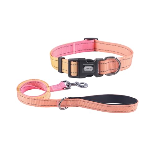 Dog Collar Leash Set, Gradient Color, with Safety Reflective Strips, 5 ft Matching Leash, Neoprene Padded Handle, Adjustable 4 Sizes for Small Medium Large Dogs.(M, Orange Pink) - color: Orange Pink, size: Medium