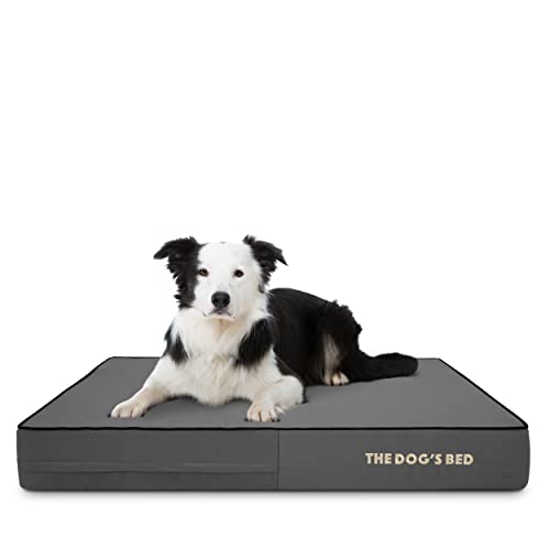 The Dog’s Bed Orthopedic Memory Foam Dog Bed for Large Dogs, Waterproof Washable Cover, Anti-Slip Base, Calming Surface – CertiPUR-Certified Foam, Grey with Black Trim, 6 Inch Thick - color: Grey with Black Trim, size: Large Beds (6" deep)