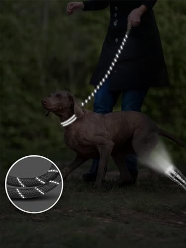 Rope Dog Leash 6 FT with Comfortable Padded Handle, Highly Reflective Threads Dog Leash for Medium Large Dogs, 1/2 inch, Grey - color: Grey