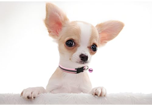 Reflective XS Dog Collar with Bell, 2 Pack Cat Collars Adjustable for XS XSmall Extra Small Tiny Little Dogs Pet Puppy Girl Female Kitten Hot Pink and Red - color: Hot Pink+Red, size: XS(Neck 7.5"-12")