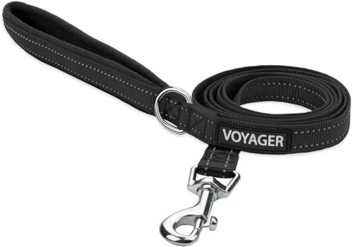 Best Pet Supplies Voyager Reflective Dog Leash or Collar with Neoprene Handle, for Small, Medium, and Large Breed Puppies, Cute and Heavy Duty for Walking, Running and Training - Black (Leash), M - color: Leash (Black), size: Medium (3/4" x 5ft)