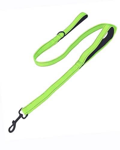 Solmoony 4FT Green Strong Dog Leash with 2 Padded Handles, Traffic Handle Extra Control, Double-Sided Reflective Walking Lead for Small Medium and Large Dogs(Green, 4FT) - color: Green, size: 4FT