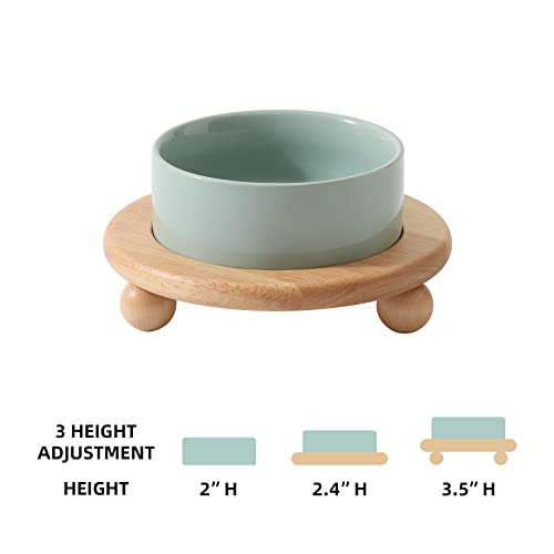 Havniva Raised Cat Bowls Water Bowl 5.1” Elevated Ceramic Cat Food and Water Bowl Whisker Friendly Pet Food Bowls for Indoor Cats, Wide Cat Water Dish Prevent Whisker Fatigue Non Slip Cat Feeder - color: 1 x Bowl + Stand - Light Green