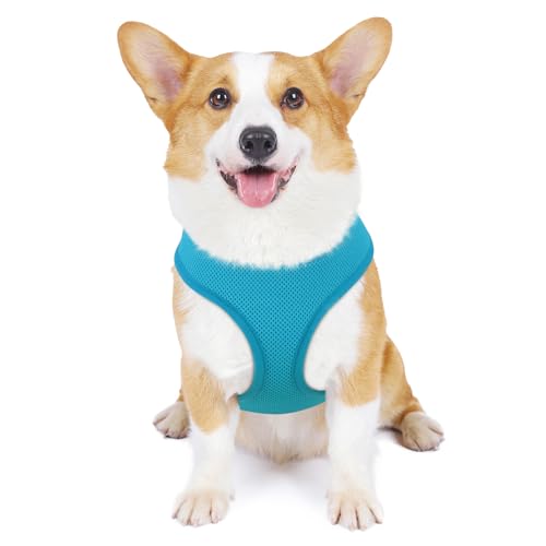 MoNiBloom Dog Harness for Small Sized Dog, Soft Puppy Padded Vest for Walking, Running, Training - Sky Blue, M - color: Sky Blue, size: M