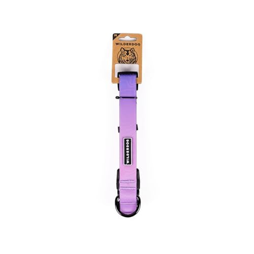 Wilderdog Waterproof Dog Collar - Repels Water & Dirt - Medium 13"-18" - Aurora - color: Aurora, size: Medium