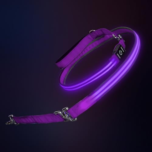 Night Walking LED Dog Leash - 6FT Reflective & Waterproof Light Up Safety Leashes for Dogs - USB Rechargeable, Purple - color: Purple(Fiber optic version)