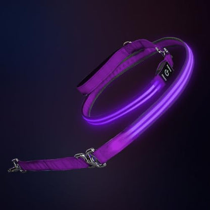 Night Walking LED Dog Leash - 6FT Reflective & Waterproof Light Up Safety Leashes for Dogs - USB Rechargeable, Purple - color: Purple(Fiber optic version)