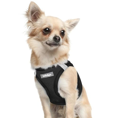 rabbitgoo Small Dog Harness, Step-in Soft Mesh Puppy Vest with Safety Buckle, Breathable Reflective Pet Harness for Extra Small Dogs, Black XXXS - color: Black, size: Xxxs(chest:10.8"-11.8")