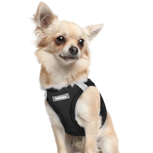 rabbitgoo Small Dog Harness, Step-in Soft Mesh Puppy Vest with Safety Buckle, Breathable Reflective Pet Harness for Extra Small Dogs, Black XXXS - color: Black, size: Xxxs(chest:10.8"-11.8")