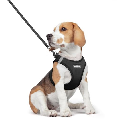 rabbitgoo Dog Harness Small Medium Sized and Leash Set, Step in Soft Light Puppy Vest, Breathable Mesh Pet Harness, Reflective for Safe Easy Walking, Black L - color: Black, size: L (chest: 18.2 - 20.5")
