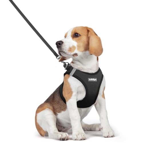 rabbitgoo Dog Harness Small Medium Sized and Leash Set, Step in Soft Light Puppy Vest, Breathable Mesh Pet Harness, Reflective for Safe Easy Walking, Black L - color: Black, size: L (chest: 18.2 - 20.5")