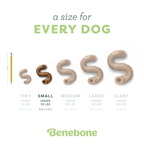 Benebone Tripe Bone Durable Dog Chew Toy for Aggressive Chewers, Real Tripe, Made in USA, Small - size: Small, style: Chew Toy