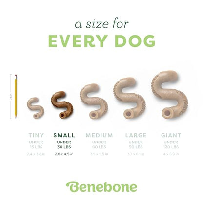 Benebone Tripe Bone Durable Dog Chew Toy for Aggressive Chewers, Real Tripe, Made in USA, Small - size: Small, style: Chew Toy