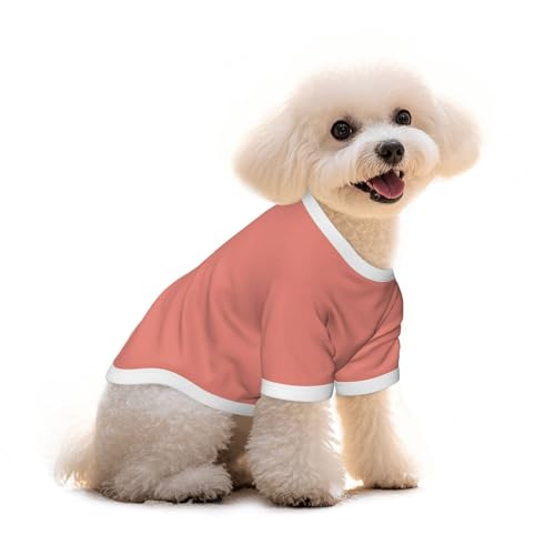 SWEET TANG Dog Cooling T-Shirt Coral, Quick Dry Breathable Mesh Shirt, Lightweight Summer Beach for Outdoor Walking, Small - color: Pattern (112), size: Small