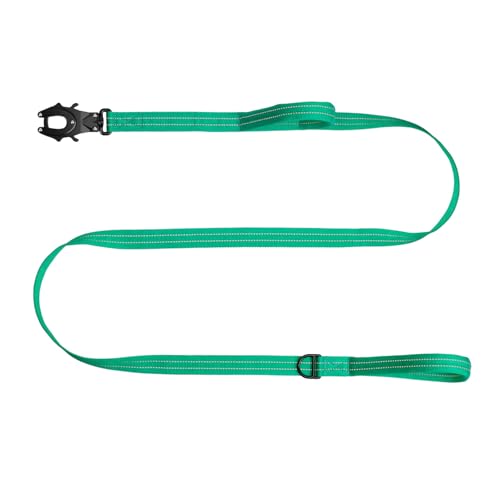 ICEFANG Relfective Dog Leash for Medium Large Dogs,K9 Training Walking Lead with Double Handle,Heavy Duty Auto-Lock Metal Clasp (6ft, Teal) - color: Teal, size: 6 ft (No bungee)
