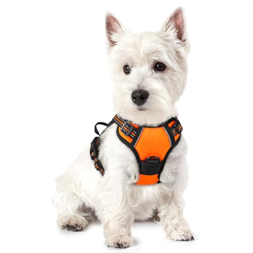 rabbitgoo Dog Harness No Pull with 2 Leash Clips, Adjustable Soft Padded, Reflective Oxford No Choke Pet Vest with Easy Control Handle for Puppy, Orange,XS - color: Orange, size: X-Small