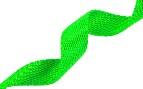 AMAGOOD Dog/Puppy Obedience Recall Training Agility Lead-15 ft 20 ft 30 ft 50 ft Long Leash-for Dog Training,Tie Out,Play,Safety,Camping (15Feet x 1Inch, Green) - color: Green, size: 1" x 15ft
