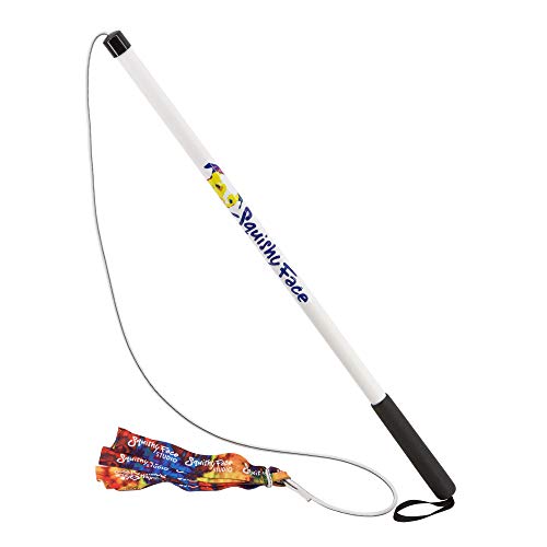 Squishy Face Studio Flirt Pole V2 with Lure - Durable Dog Toy for Fun Obedience Training & Exercise, Rainbow Tie Dye, Regular - 36 inch for All Breed Sizes - color: Rainbow Tie Dye, size: Regular (36 in), style: Squeaker