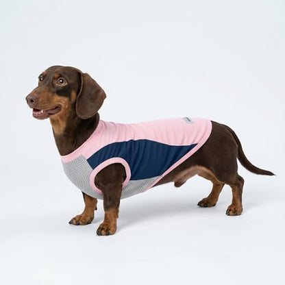 Fitwarm 2 Pack UPF 50+ UV Sun Protection Dog Shirt, Lightweight Breathable Cooling Vest, Quick Dry Dog Summer Clothes for Small Dogs Boy Girl, Reflective Label Pet Cat Outfit, Pink, XS - color: Rose Red-Pink, size: X-Small