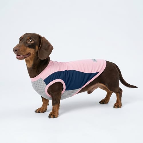 Fitwarm 2 Pack UPF 50+ UV Sun Protection Dog Shirt, Lightweight Breathable Cooling Vest, Quick Dry Dog Summer Clothes for Small Dogs Boy Girl, Reflective Label Pet Cat Outfit, Pink, Medium - color: Rose Red-Pink, size: Medium