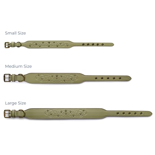 Blueberry Pet Premium Embossed Sage Green Glam Silver-Powered Freshness Microfiber Leather Dog Collar with Antique Brass Studs - color: Sage Green, size: Small