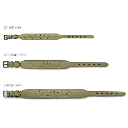 Blueberry Pet Premium Embossed Sage Green Glam Silver-Powered Freshness Microfiber Leather Dog Collar with Antique Brass Studs - color: Sage Green, size: Medium