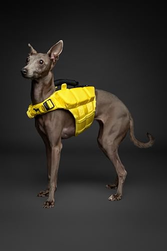NOAH & PAW Dog Life Jacket, Human Standards Lifejacket Design, Dog Life Vest for Swimming and Boating, 3X Foam Support for Max Floating, Breathable Mesh, Salvavidas para Perros, Size L - size: L