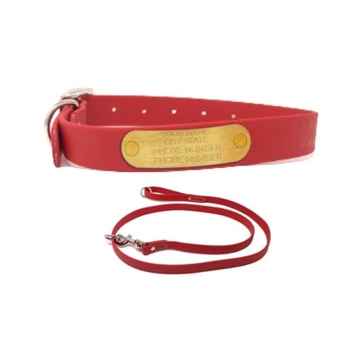 Regal Dog Products Medium Red with Custom Engraved Waterproof Dog Collar and Leash Set | Waterproof Dog Collar with Double Buckle & D Ring - 5'ft Leash | Matching Dog Collar and Leash for Dogs - color: Red, size: Medium Collar with leash