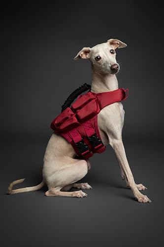 NOAH & PAW Dog Life Jacket, Human Standards Lifejacket Design, Dog Life Vest for Swimming and Boating, 3X Foam Support for Max Floating, Breathable Mesh, Salvavidas para Perros, Size XS - size: XS
