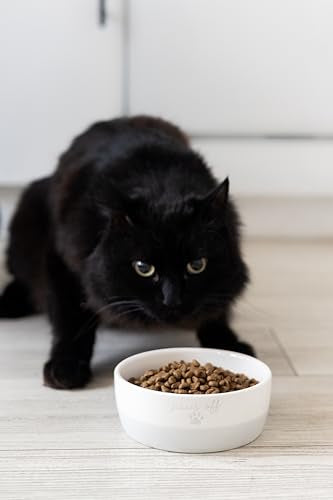 Pearhead Paws Off Ceramic Cat Bowl, Holds 1.3 Cups, Small Food and Water Bowl for Cats, Pet Dish, Microwave and Dishwasher Safe (Pack of 2) - color: Gray "Paws Off", size: Bowl Set