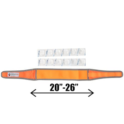 CoolerDog Hi-Vis Cooling Dog Collar for Large Dogs – Reflective Re-Freezable Ice Collar for Hot Weather & Heat Relief (Orange, Large) - size: Large