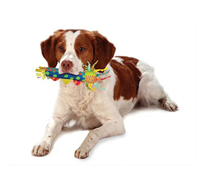 Cool Teething Stick – Puppy Chew Toy for 0–6 Month Puppies, Teething Relief, Freezable & Durable - color: Teething Stick